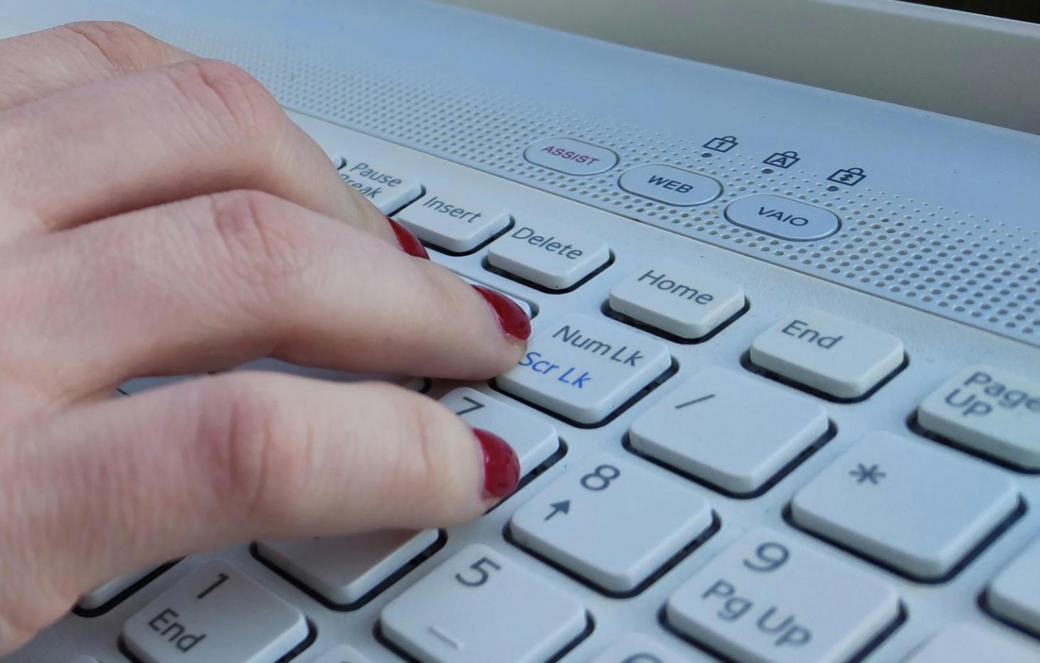 Workshops mit Gründern